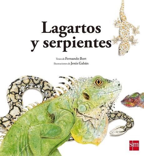 LAGARTOS Y SERPIENTES | 9788467573947 | BORT MISOL, FERNANDO