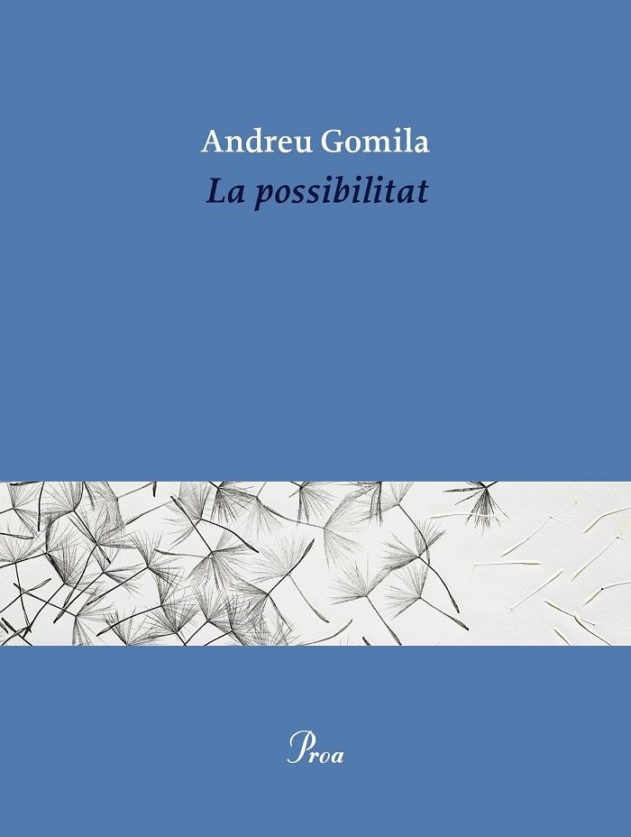 LA POSSIBILITAT | 9791388369155 | GOMILA LLOBERA, ANDREU