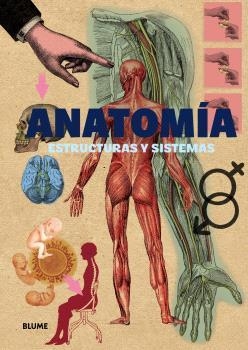 ANATOMÍA | 9791388023286 | VARIOS AUTORES