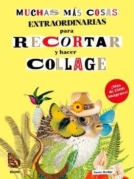 MUCHAS MÁS COSAS EXTRAORDINARIAS PARA RECORTAR Y HACER COLLAGE | 9791388023897 | HODGE, SUSIE